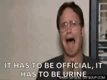 Dwight Schrute It Has To Be Official GIF - Dwight Schrute It Has To Be Official The Office GIFs