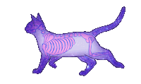 Cat Skeleton Walk Sticker