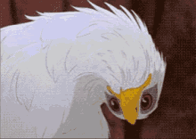 Bird What GIF - Bird What Confused GIFs