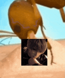 a picture of a person with a camera and a picture of a bug