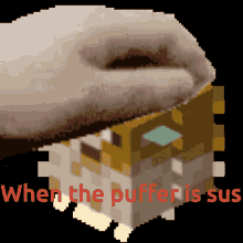 Pufferpet Elapu GIF - Pufferpet Elapu Minecraft GIFs