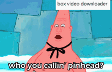 Patrick Star Who You Callin Pin Head GIF