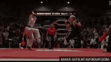 Fight Karate GIF - Fight Karate GIFs