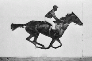 eadweard-muybridge-el-caballo.gif