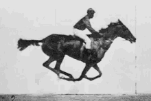 Eadweard Muybridge El Caballo GIF - Eadweard Muybridge El Caballo En Movimiento1887 GIFs