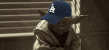 yoda wearing a blue la hat with suffering written below him