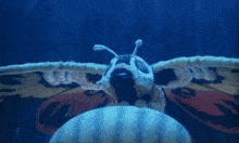a close up of a moth flying in the dark with a blue background