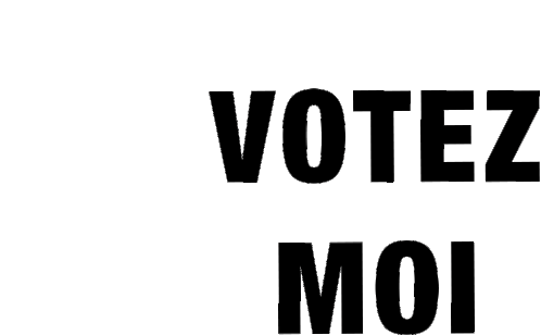 Votez Pour Moi Votez Sticker - Votez Pour Moi Votez Stickers