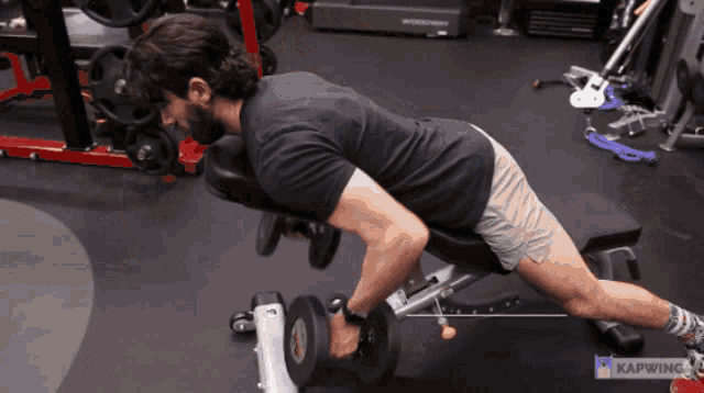 dumbbell chest supported row