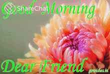 Good Morning Dear Friends GIF - Good Morning Dear Friends शुभप्रभात GIFs