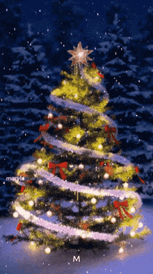 a christmas tree with a star on top has the letter m below it