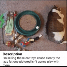 a cat is laying on the floor next to a scratching board and toys