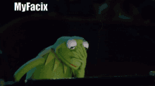 My Facix Kermit The Frog GIF - My Facix Kermit The Frog Stress GIFs