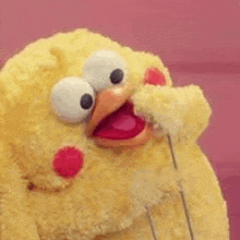 a stuffed chicken with big eyes and red spots on its face is eating a piece of bread .