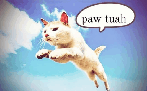 paw tuah