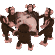 monkey jinny