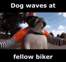 Waves Dog GIF - Waves Dog Wave GIFs