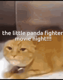 The Little Panda Fighter GIF - The Little Panda Fighter GIFs