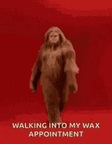 Hairy Sassy GIF - Hairy Sassy Walking Into My Wax Appointment GIFs
