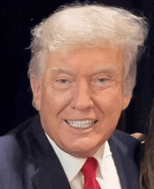 donald trump is wearing a suit and tie and smiling for the camera