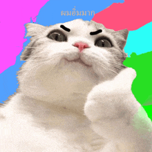 a cat giving a thumbs up with a colorful background and a foreign language written on it