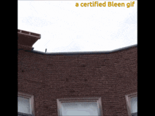 Panda Fall GIF - Panda Fall Roof GIFs