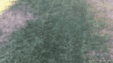 a blurred image of a person 's face with the website https://thready.dev visible