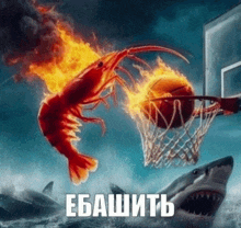 a flaming shrimp is about to dunk a basketball into a hoop with a shark in the background
