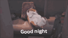 Good Night Sleepy GIF - Good Night Sleepy Sleepy Cat GIFs