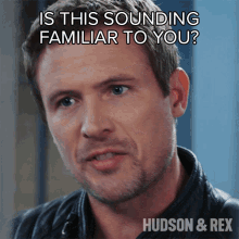 Is This Sounding Familiar To You Charlie Hudson GIF - Is This Sounding Familiar To You Charlie Hudson Hudson And Rex GIFs