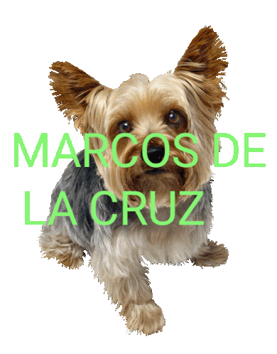 Marcos De La Cruz De La Cruz Sticker - Marcos De La Cruz De La Cruz Bowling Stickers