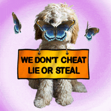 a dog is holding a sign that says we don t cheat lie or steal