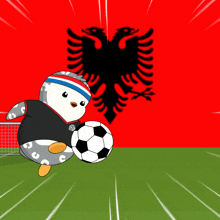 Soccer Albania GIF