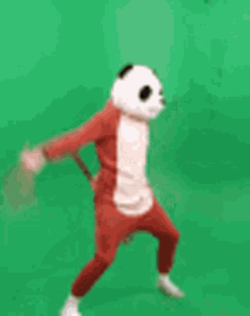 Panda Kung Fu GIF - Panda Kung Fu Pose - Discover & Share GIFs