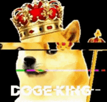 Doge GIF - Doge GIFs