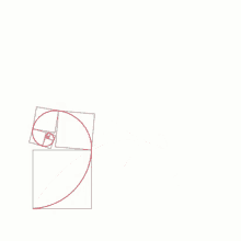 Fibonacci GIF - Fibonacci GIFs