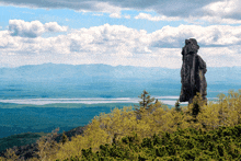 a large rock in the middle of a forest