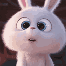 snowball rabbit cute bunny secret life of pets