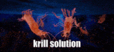 Krill Skill Issue GIF - Krill Skill Issue Skill Solution GIFs