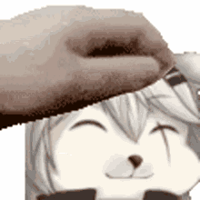 pet lappdumb