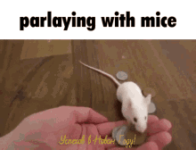 Mice Parlay GIF - Mice Parlay Compromise GIFs