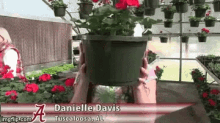 Garden Danielle GIF