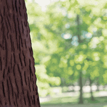 a drawing of a tree with a blurry background
