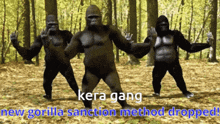 Kera Gang Goril Kera GIF - Kera Gang Kera Goril Kera GIFs