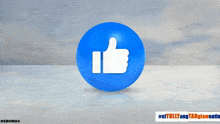 a blue ball with a white thumbs up icon on it
