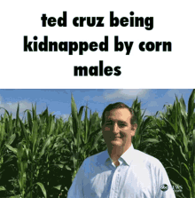 Ted Cruz Corn Male GIF - Ted Cruz Corn Male GIFs