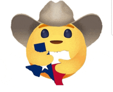 Texas Cowboy GIF