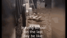 School GIF - School GIFs