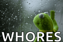a kermit the frog is looking out a window with the words whores below it