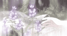 Aesthetic Anime GIF - Aesthetic Anime Picking Flowers GIFs